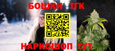 индика Ливны