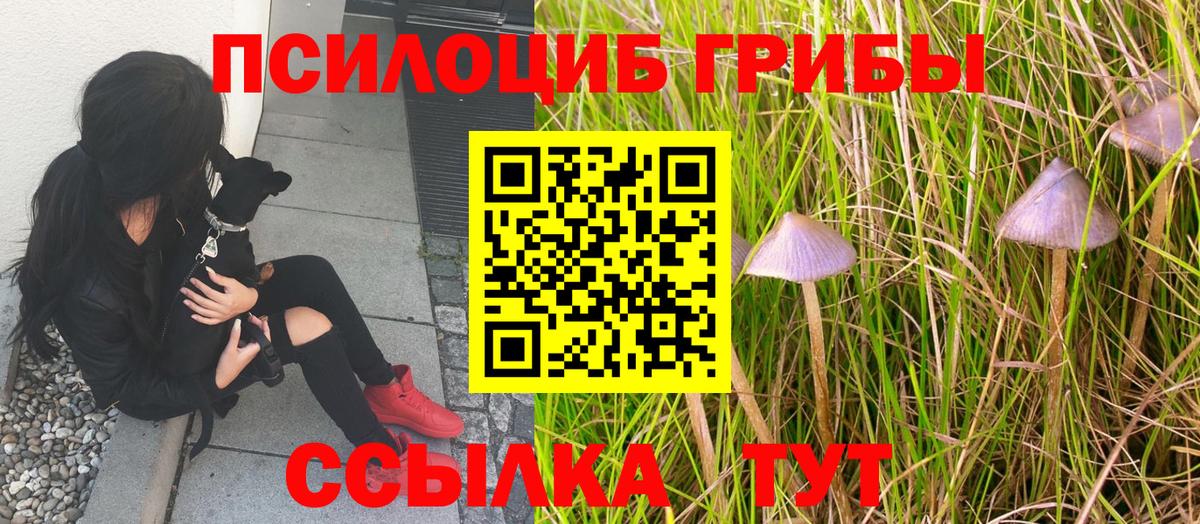 Россия  Галлюциногенные грибы GOLDEN TEACHER  Вход с VPN 